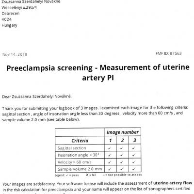 Preeclampsia Screening Measurement Of Uterine Artery Pi